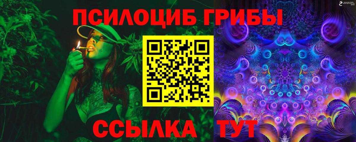 Галлюциногенные грибы Psilocybe Городец